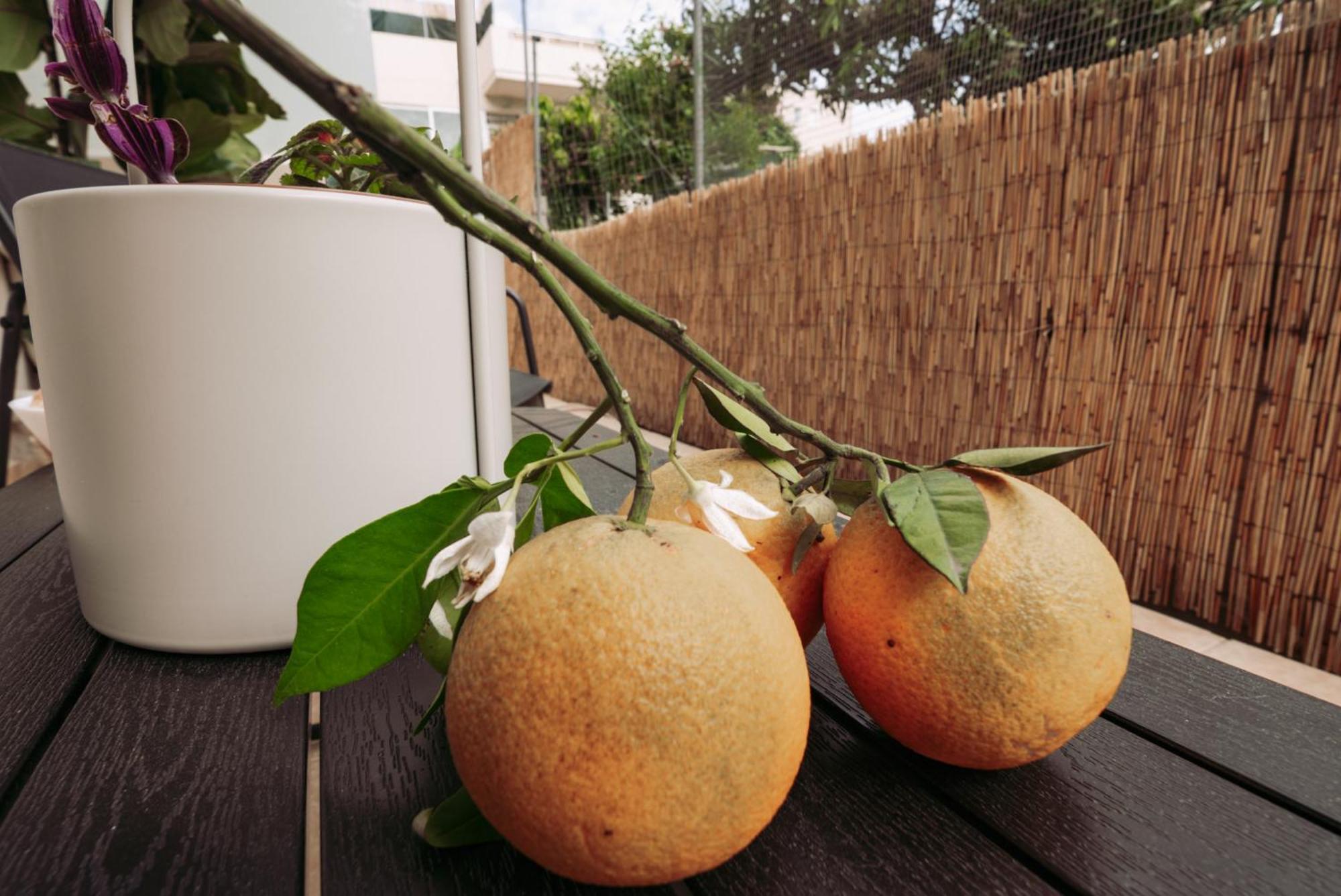 חאניה Summer Blue Apartments Chania מראה חיצוני תמונה