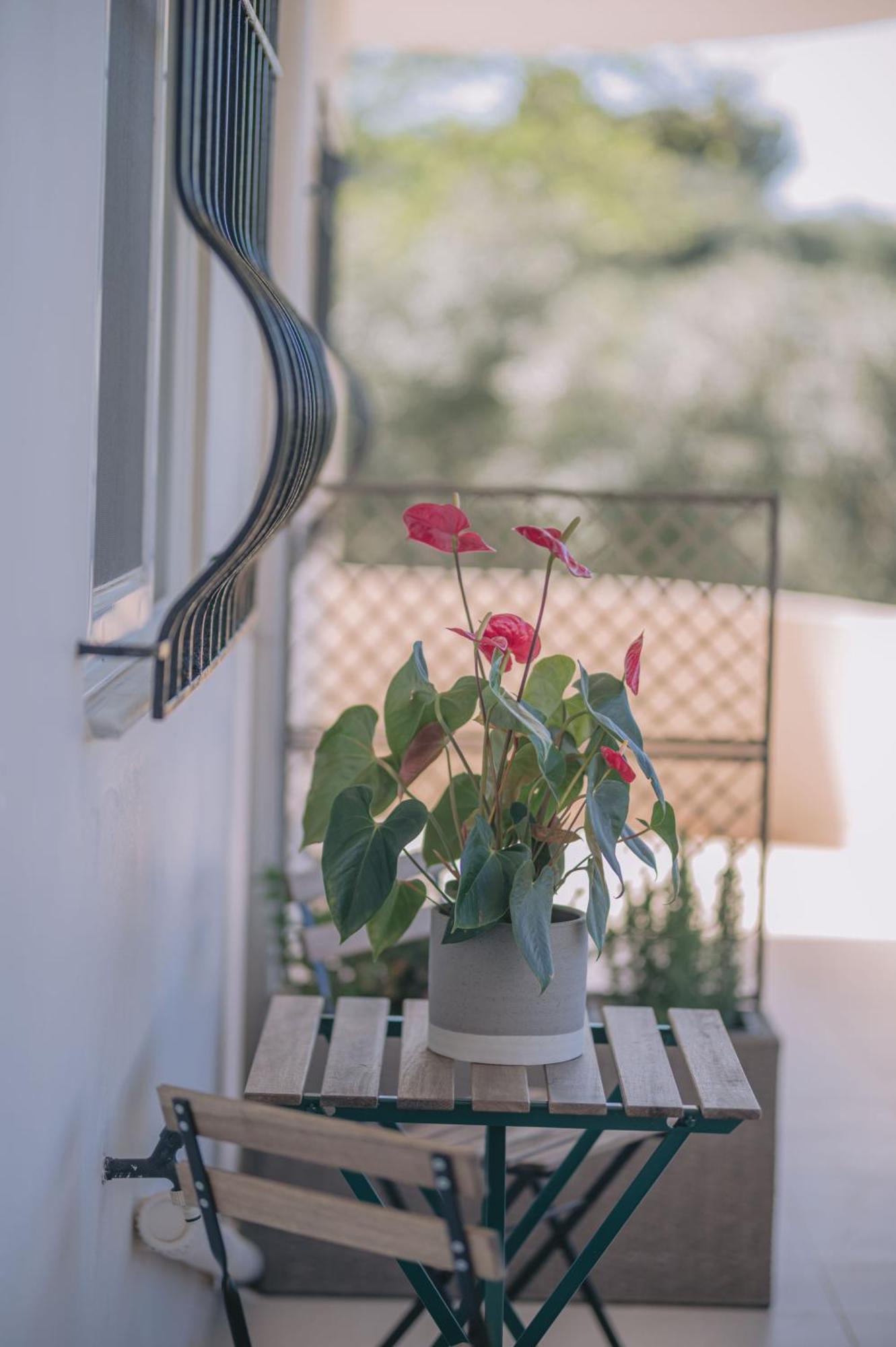 חאניה Summer Blue Apartments Chania מראה חיצוני תמונה